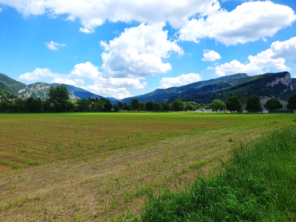 Grundstück in Balsthal für unseren Neubau